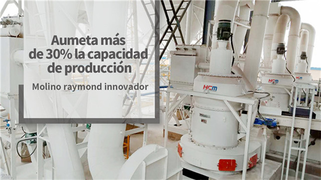 molino raymond innovador HCM serie